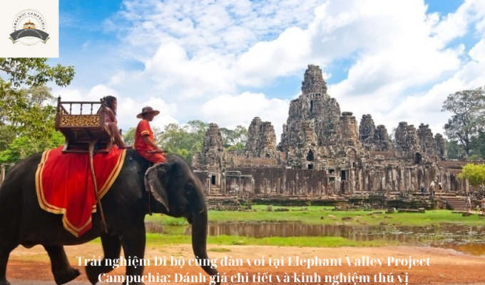 Trải nghiệm Đi bộ cùng đàn voi tại Elephant Valley Project Campuchia: Đánh giá chi tiết và kinh nghiệm thú vị