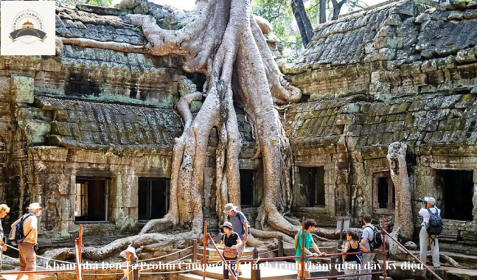 Khám phá Đền Ta Prohm Campuchia: Hành trình thăm quan đầy kỳ diệu